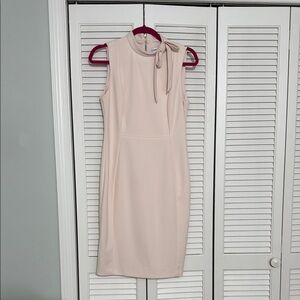 Elegant Pale Pink  Sleeveless Dress